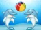 Laro Dolphin Show online