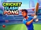Laro Cricket Clash Pong online