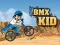 Laro BMX Kid online