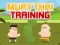Laro Muay Thai Training online