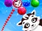 Laro Raccoon Rescue online