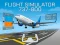 Laro Flight Simulator 737-800 online