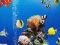 Laro Sea Underwater Difference online