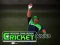 Laro Cricket Fielder Challenge online