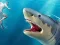 Laro Shark Hunting online