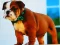 Laro Bulldog Puppy Puzzle online
