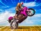 Laro Crazy Wheelie Motorider online