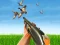 Laro Bird Hunting online