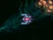 Laro Asteroid Crush online