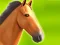 Laro Horse Run 3D online
