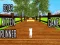 Laro Cutie cat online