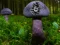 Laro Mushroom Forest Adventure online