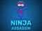 Laro Ninja Assassin online