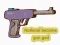 Laro National become gun god online