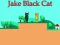 Laro Jake Black Cat online