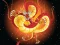 Laro Chinese Dragons Coloring online