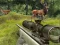 Laro Stag Hunt online
