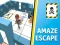 Laro Amaze Escape online