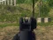 Laro Army Shooter online