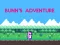Laro Bunn's Adventure online
