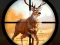 Laro Wild Hunting Clash online