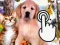 Laro Pets Clicker online