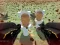 Laro Shooting Survival Skibidi Toilet online