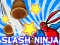 Laro Slash Ninja online