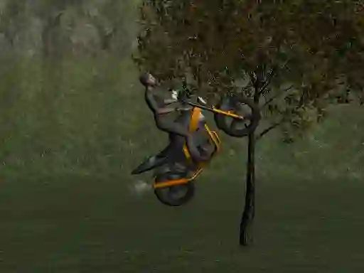 Laro Mountain Bike Rider online