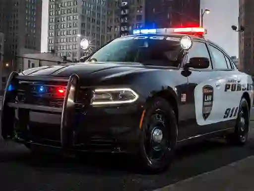 Laro Police Cars Slide online