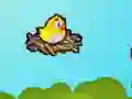 Laro Flying School online