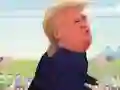 Laro Trump Walk online