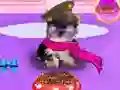 Laro Wash Pets Princess Kids online