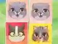 Laro Kitten Match online
