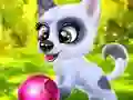Laro Happy Dog online