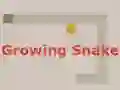 Laro Growing Snake online