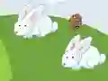 Laro Crazy Eggs online