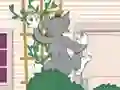 Laro Tom und Jerry: Wasserbomben Wahnsinn online