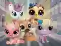 Laro Little Pet Shop: Hide and Seek online