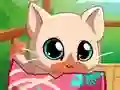 Laro My Pocket Pets Kitty Cat online