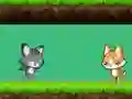 Laro Cat vs Dog online
