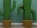 Laro Cactus Cube online