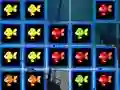 Laro 1010 Fish Blocks online