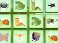 Laro Find The Insect online