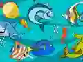 Laro Fish Differences online