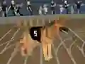 Laro Crazy Dog Racing Fever online