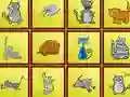 Laro Cats Findiff online