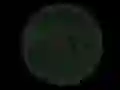 Laro Stickshot 2 online