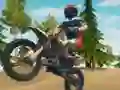 Laro Dirt Bike Enduro Racing online