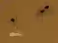 Laro Save the crumb online